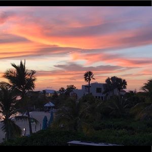 Meet your Posher, Fiona